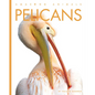 Pelicans - Library Binding