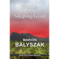 Waking the Sleeping Giant - Paperback