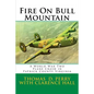 Fire On Bull Mountain: A World War Two Plane Crash in Patrick County Virginia - Paperback