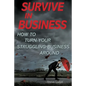 Survive in Business: How to Turn Your Struggling Business Around - Paperback