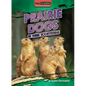 Prairie Dogs in Their Ecosystems - Library Binding