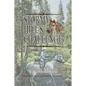 Stormy Hill's Challenge: Fourth Book in the Stormy Hill Series - Paperback