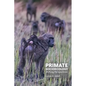 Primate Socioecology: Shifting Perspectives - Hardcover