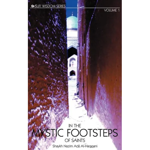 In the Mystic Footsteps of Saints Vol. 1 - Paperback