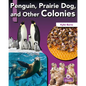 Penguin, Prairie Dog, and Other Colonies - Library Binding