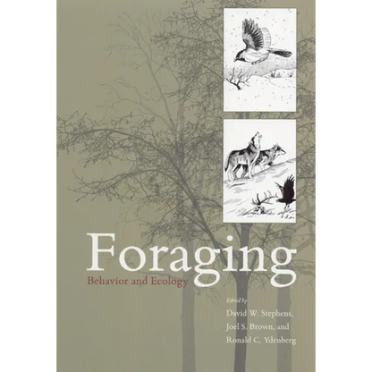 Foraging: Behavior and Ecology - Paperback