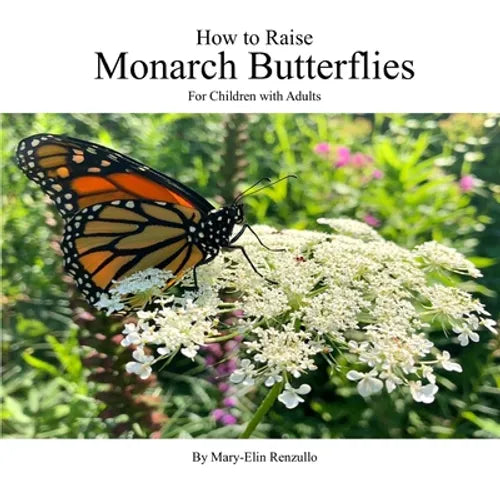 How to Raise Monarch Butterflies: For Children with Adults - Paperback