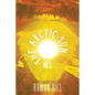 In the Arctic Sun - Paperback