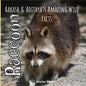 Raccoon: Aakash and Adithya's Wild Facts - Paperback