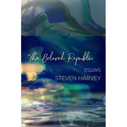 The Beloved Republic - Paperback