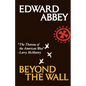 Beyond the Wall: Essays from the Outside - Paperback
