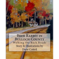 Brer Rabbit in Bulloch County: Walking the Back Roads - Paperback