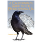 A Californian's Guide to the Birds Among Us - Paperback