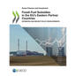 Fossil-Fuel Subsidies in the EU's Eastern Partner Countries - Paperback