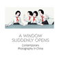 A Window Suddenly Opens: Contemporary Photography in China - Hardcover