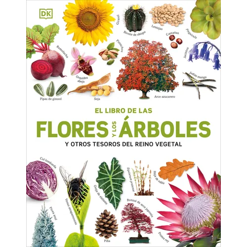 El Libro de Las Flores Y Los Árboles (Our World in Pictures: Trees, Leaves, Flowers & Seeds) - Hardcover