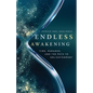 Endless Awakening: Time, Paradox, and the Path to Enlightenment - Paperback