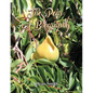 The Pear: A Biography - Paperback