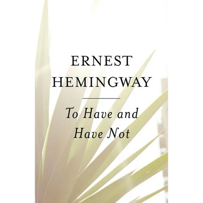 To Have and Have Not - Paperback