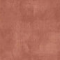 Orange Dry Brush Terracotta Cotton Wideback Fabric per yard