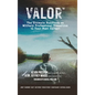 Valor: The Ultimate Handbook on Military Professional Transition to Your Next Career! - Hardcover