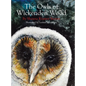 The Owls of Wickenden Wood - Hardcover