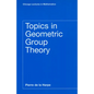 Topics in Geometric Group Theory - Paperback
