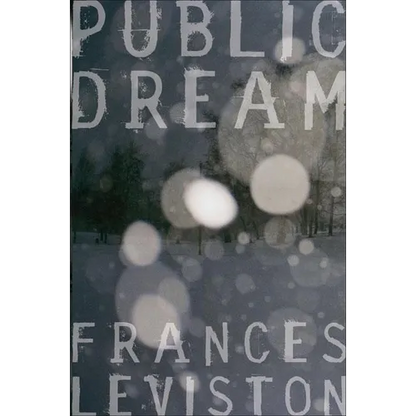 Public Dream - Paperback