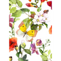 UNDATED DAILY PLANNER & BUSINESS ORGANIZER (Pink Butterfly) - Paperback