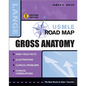USMLE Road Map Gross Anatomy, Second Edition - Paperback