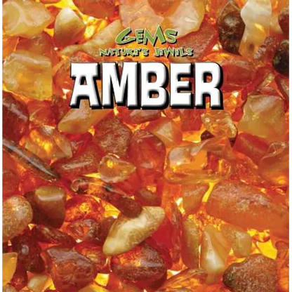 Amber - Library Binding