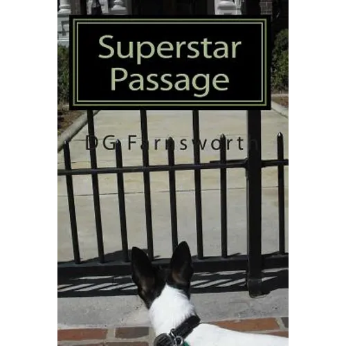Superstar Passage: The Reincarnation of Karen Carpenter - Paperback