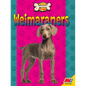 Weimaraners - Paperback