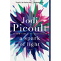 A Spark of Light - Paperback