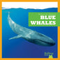 Blue Whales - Paperback