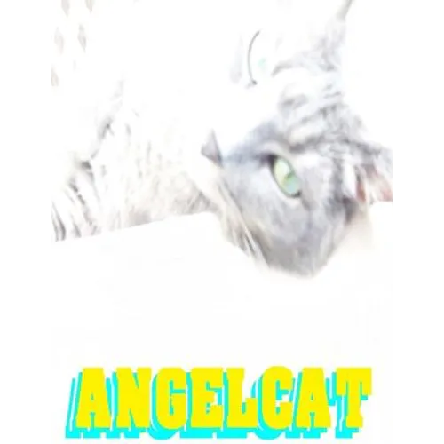 Angel Cat: Anime Manga Comic Book Ghost Soul Angel Heaven War Battle Good vs Evil Teenager Cat - Paperback