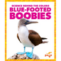 Blue-Footed Boobies - Library Binding