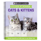Brain Games - Sticker by Number: Cats & Kittens (Easy - Square Stickers): Create Beautiful Art with Easy to Use Sticker Fun! - Spiral