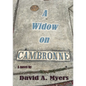 A Widow on Cambronne - Paperback
