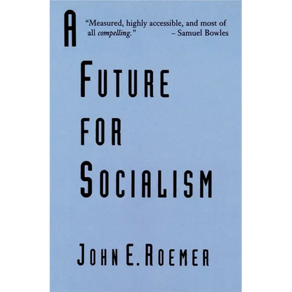 A Future for Socialism - Paperback