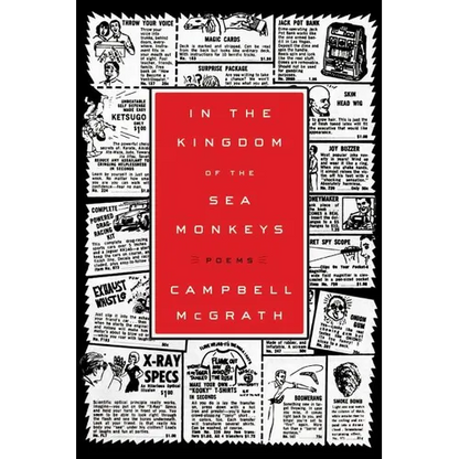 In the Kingdom of the Sea Monkeys - Paperback
