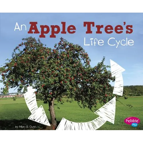 An Apple Tree's Life Cycle - Paperback