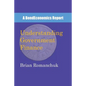 Understanding Government Finance - Paperback