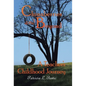 Chinaberries and Beyond: A Teacher's Childhood Journey - Hardcover