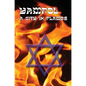 A City in Flames - Yizkor (Memorial) Book of Yampol, Ukraine - Hardcover