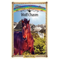 Wolf Chasm: Sometimes Horses Need a Little Magic - Paperback