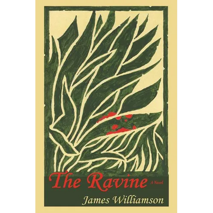 The Ravine - Paperback