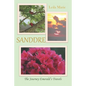 Sanddre: The Journey Emerald's Travels - Paperback