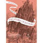 The Storm of Echoes: Book Four of the Mirror Visitor Quartet - Hardcover