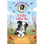 Jasmine Green Rescues: A Collie Called Sky - Hardcover